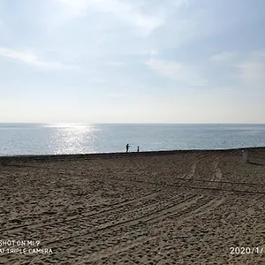 Adelfas Mar , Benajarafe España